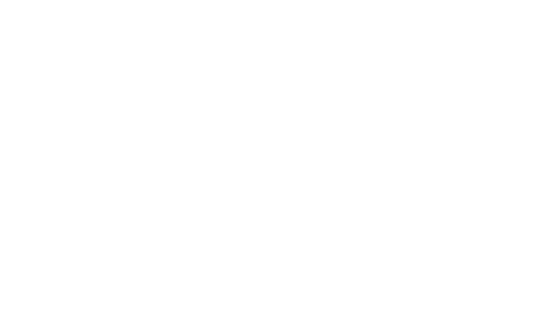 Sterpo-logo-wit